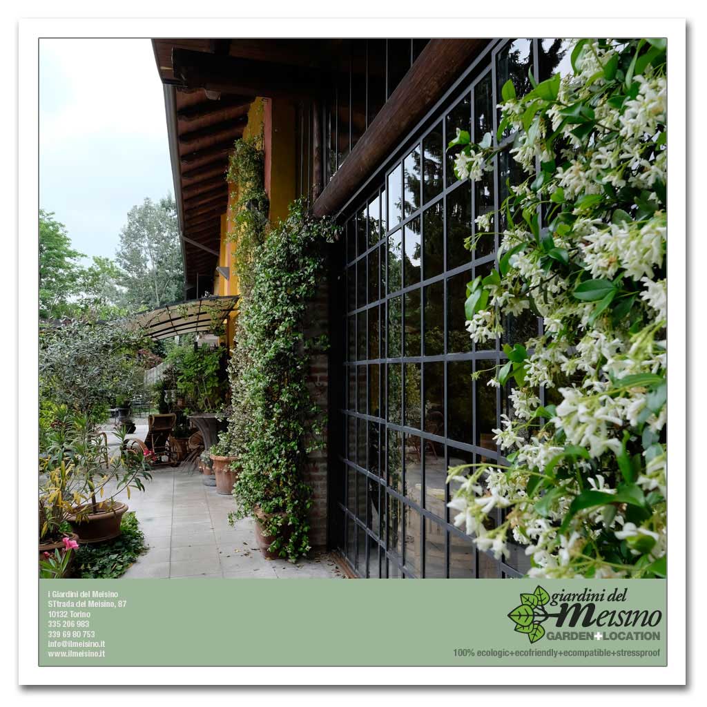 giardini meisino location torino 121